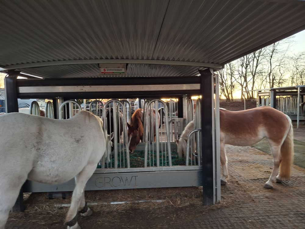 zeitgesteuerte-automatische-heufuetterung-fuetterung-reitstall-gilching